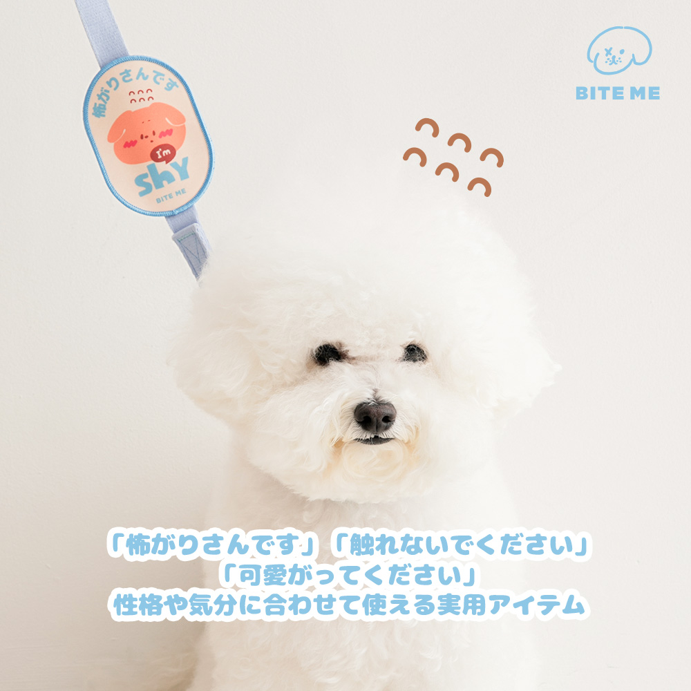 Puppyページです VTech® Barks & Beats™ Alto the Beatboxing Puppy for Creative